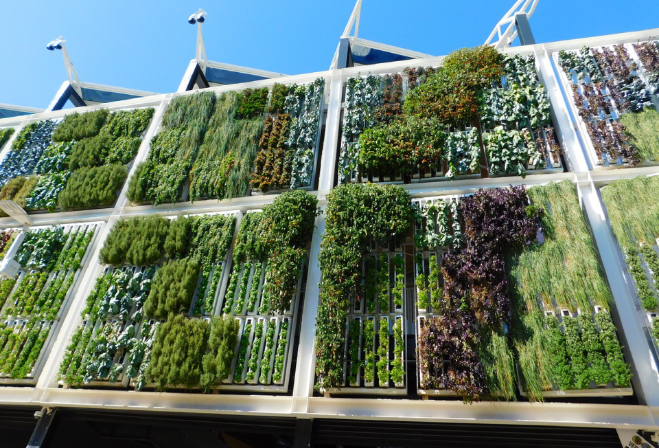 jardin vertical, ideal para proteger el medio ambiente