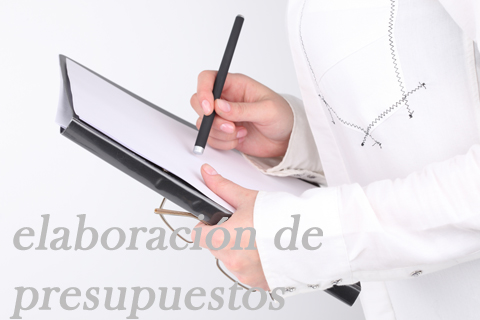 elaboración de presupuestos